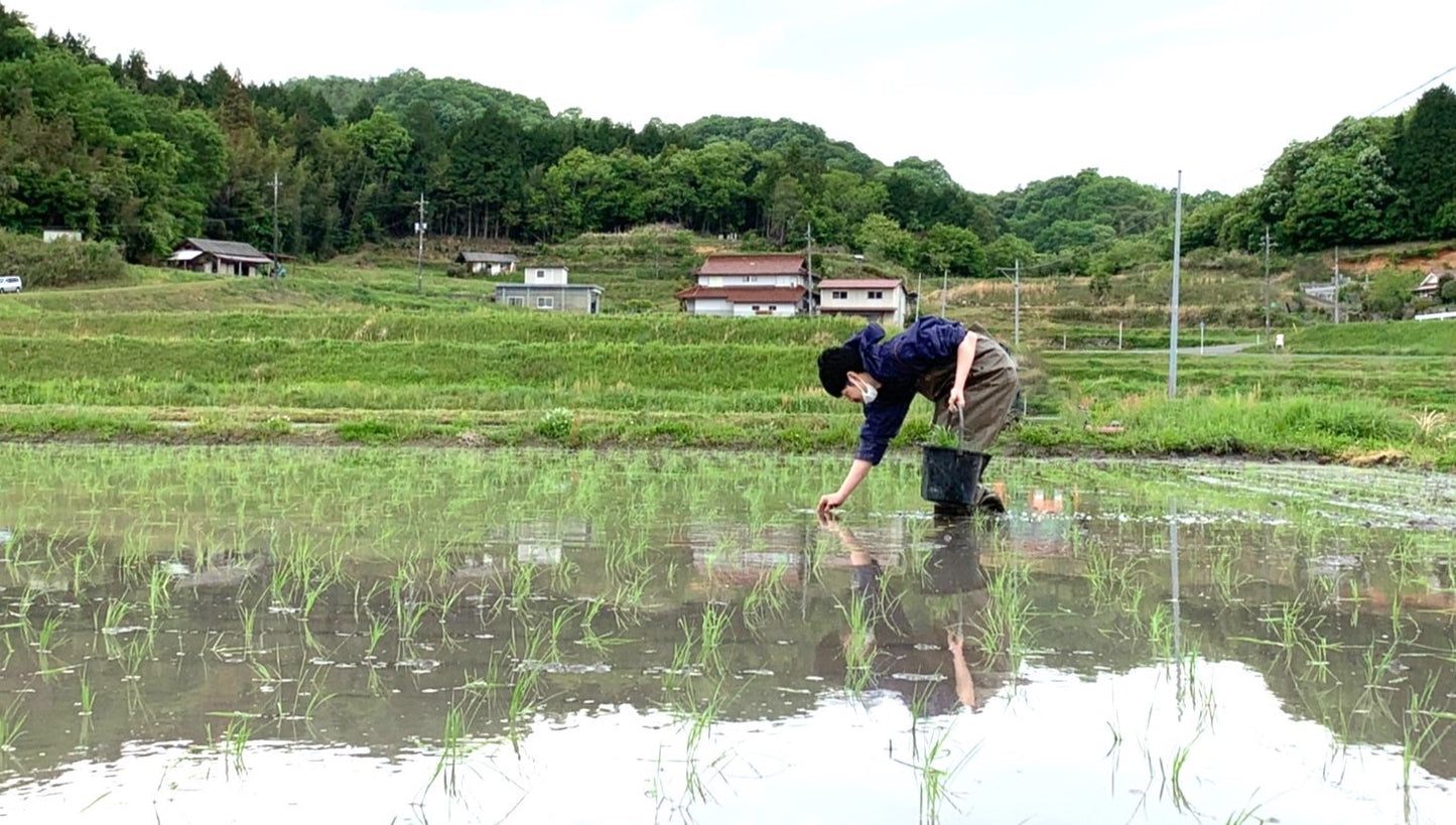 「YOGANSUの酒」4種類定期購入プラン